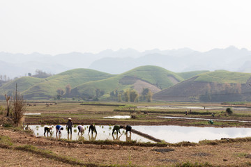 New HD pictures travel to Vietnam 2020