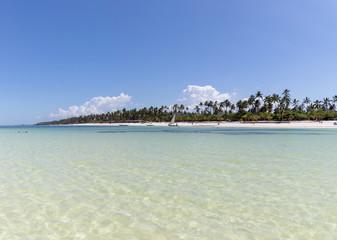 dream beach in zanzibar, tanzania