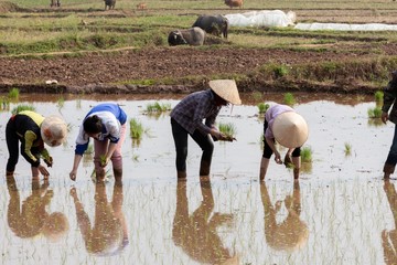 New HD pictures travel to Vietnam 2020