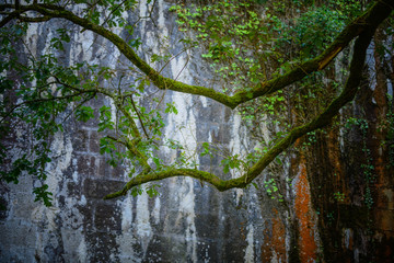 Butron Castle is one of the most impressive and beautiful medieval castles in the Basque Country.  Northern spain