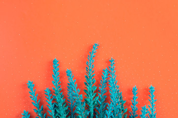 A bunch of lavender on orange background top view. Horizontal spring greeting card with copy space