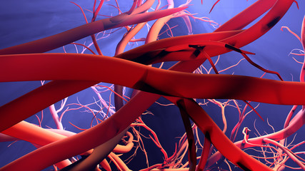 New blood vessel formation