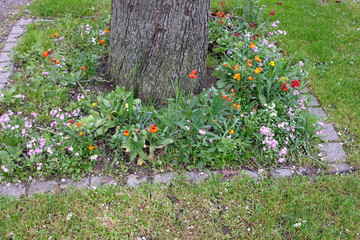 Fototapete bei efototapeten.de bestellen   
