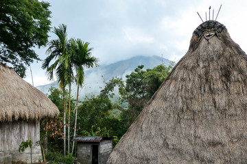 Inside view on the traditional Bena village in Bajawa, Flores, Indonesia. There are many small houses around, made of natural parts like wood and straw. History and tradition mingling with presence.