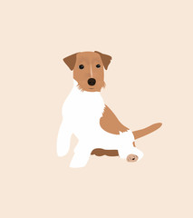 Abstract dog vector illustration.  Terrier sit.