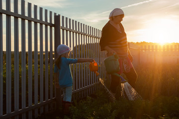 kid helps to care for the plants with a watering can in the garden