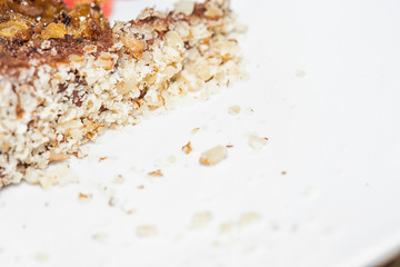Slice of cake, close up
