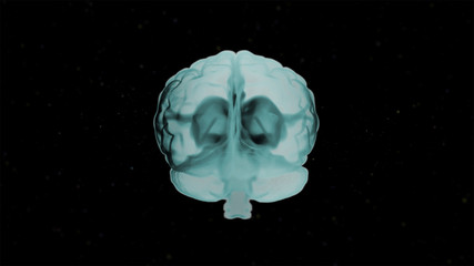 Brain anatomy. 3d image of realistic human brain in green shades over black o background.