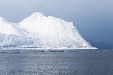 Panorama of snowy fjords and mountain range, Senja, Norway Amazing Norway nature seascape popular tourist attraction. Best famous travel locations. beautiful sunset within the amazing winter landscape © Michal