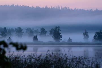 Foggy summer landscape by the lake in Finland after sunset.