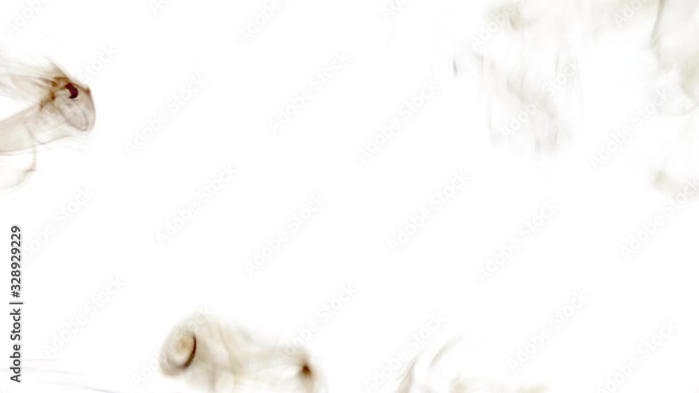 Poster abstract smoke wavy pattern flowing on color background