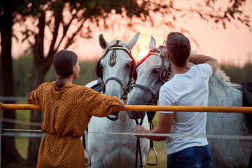 Smiling woman and men on the ranch at sunset preparing their horses for a ride