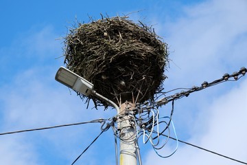An empty stork nest on an electric pole on blue sky background awaits for storks returning from warm countries. Kashubian village, Poland