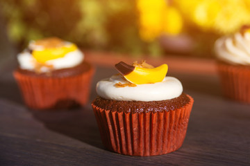 Delicious chocolate cupcakes. Holiday Easter card. Easter sweet desserts. Mother's day. Birthday card. Holidays background.