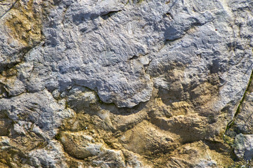 sandstone texture in the sunshine
