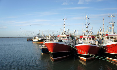 Irish Sea fishing ships in port.Ireland.