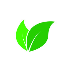 Green leaves icon. Vector illustration isolated on white background.