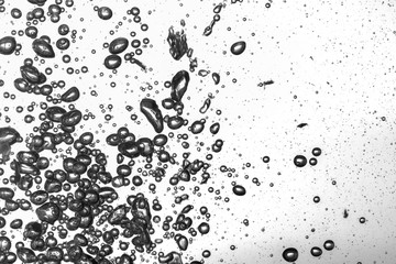 Close up water bubbles underwater on white background.Black and white bubbles backdrop.