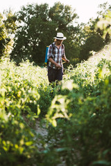 Young farmer spraying organic fertilizer with manual pump tank