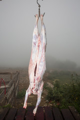 lamb meat hanging on hook