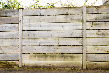 Panel of a weathered wooden fence