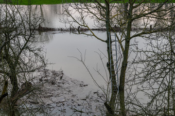 Überschwemmung in Auenlandschaft nach starken Regenfällen mit Bäumen im Wasser und Land unter der Wiese und angespültem Treibholz und Treibgut am Flussufer