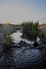 Stream at Sunset