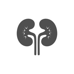 kidneys icon isolated on white, vector Illustration