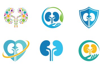 kidneys logo design template, urology logo, vector icon Illustration
