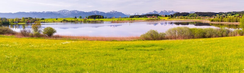 Fototapeta premium panoramic landscape with meadow and lake in front of alps mountains