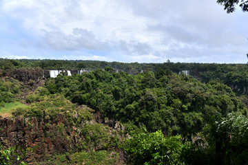 Fototapeta na wymiar Iguazu roaring waterfalls against a jungle and gray sky