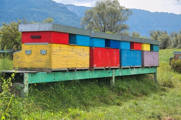 Fototapeta na wymiar colorful hives for bees