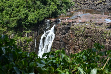 Iguazu roaring waterfalls against a jungle and gray sky