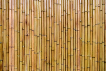 Indian cane. Background from bamboo sticks. A wall of bamboo branches. Floral background. The wall of the building is decorated with bamboo. Concept - building houses made of Indian cane.