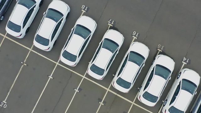 Aerial top down view of the dealership or customs terminal parking lot with a rows of new cars