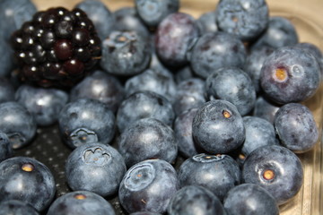 fruit, blueberry, blueberries, food, berry, fresh, blue, healthy, ripe, berries, sweet, bilberry, organic, dessert, diet, delicious, raw, juicy, white, freshness, nature, closeup, health, isolated, ta