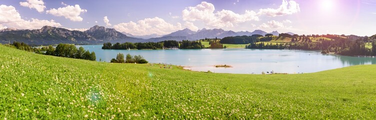 Obraz premium panoramic landscape with meadow and lake in front of alps mountains