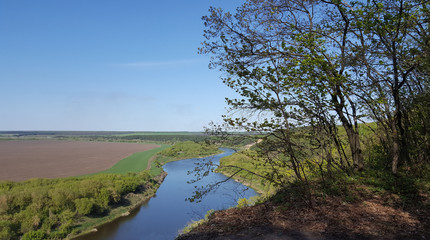 Spring scenery of trees with young foliage near precipice .Bend of the river.Fresh greens