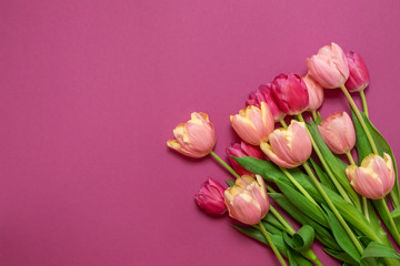 Obraz premium Greeting card with colorful spring tulips flower. Holiday bouquet. Concept of Mother's Day, Birthday or Valentine's Day celebrations. Top View, Flat lay