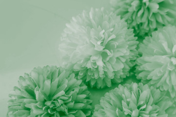 Beautiful abstract color white and green flowers on white background and white flower frame and green leaves texture, green background, colorful white banner happy valentine 