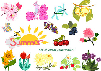Set of vector illustrations on a summer theme. Fruits, berries, flowers, butterflies and dragonflies. The compositions are isolated on a white background.