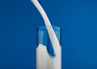Pouring milk in glass isolated on blue background