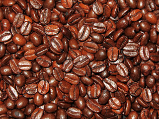 coffee beans background