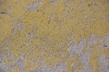 grungy wall detail shot for design
