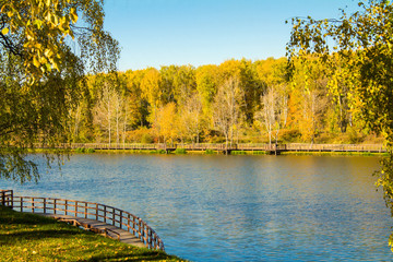 Autumn landscape with a pond and trees in the background