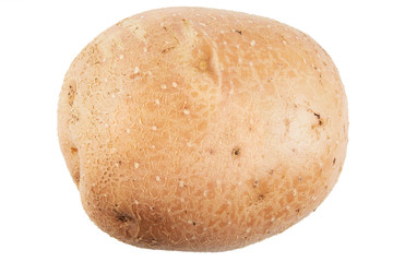 Raw potatoes on a white background.