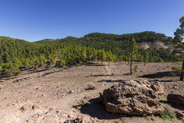 Views from the window of the Roque Nublo (Gran Canaria)