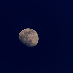 nearly full moon on dark blue background