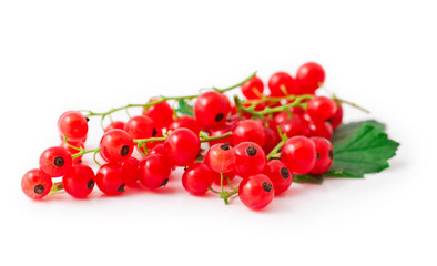 Red currant berries with leaf isolated on white background.