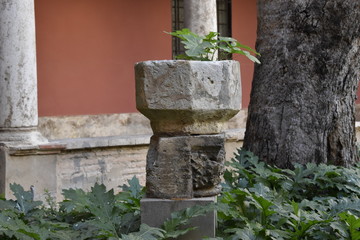 fountain in the garden